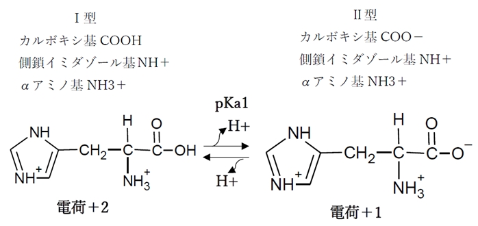 ヒスチジン Phの変化と解離 化学種の存在比 割合 荷電 等電点