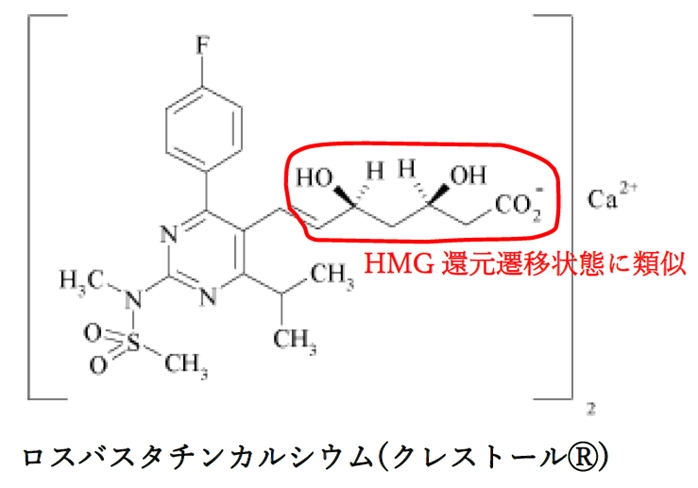 スタチン類の構造の特徴 共通点 薬学化学