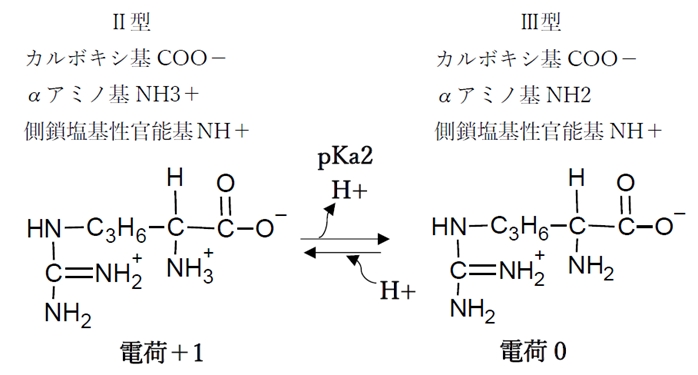 塩基性アミノ酸のリシン アルギニン Phの変化と解離 化学種の存在比