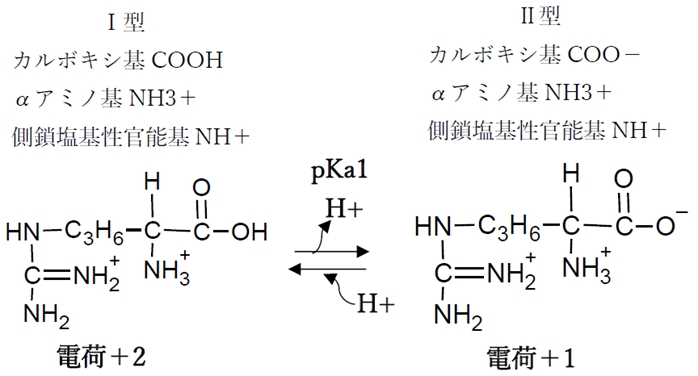塩基性アミノ酸のリシン アルギニン Phの変化と解離 化学種の存在比