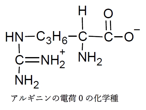 塩基性アミノ酸のリシン アルギニン Phの変化と解離 化学種の存在比