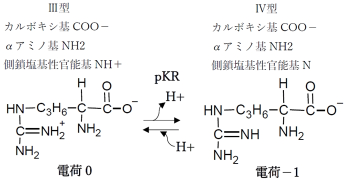 塩基性アミノ酸のリシン アルギニン Phの変化と解離 化学種の存在比