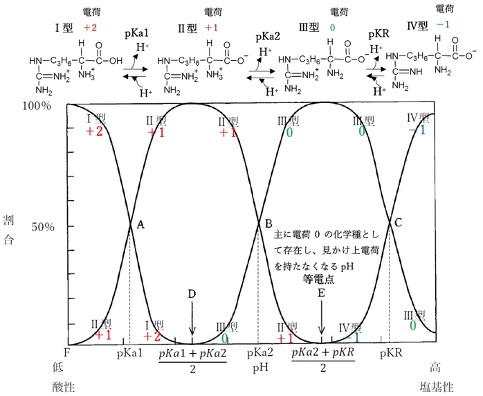 塩基性アミノ酸のリシン アルギニン Phの変化と解離 化学種の存在比