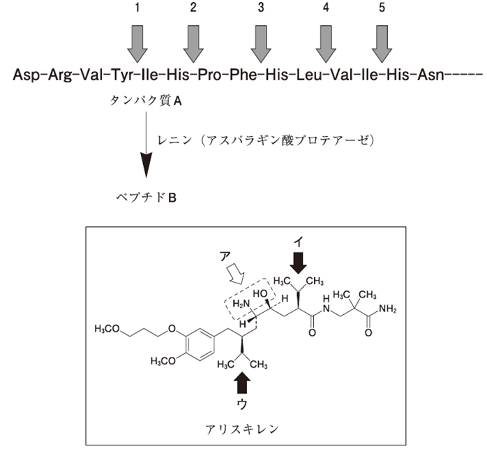 111回薬剤師国家試験問106の解説 アリスキレンの構造とレニンによるタンパク質A切断部位