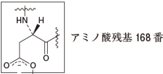 109回薬剤師国家試験問106 乳酸脱水素酵素の活性中心