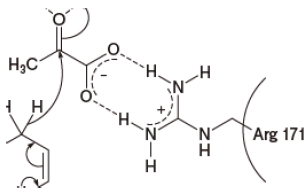 109回薬剤師国家試験問106 乳酸脱水素酵素の活性中心