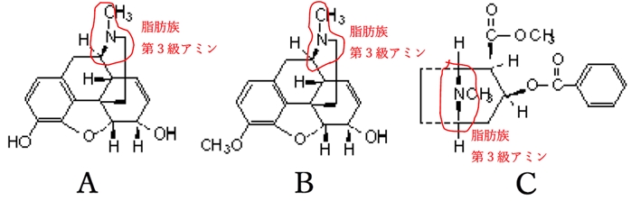 輝く高品質な 遂に商品化 永続的に亜硝酸軽減 水槽に沈めるだけのヴァルナミニ ２３cmサイズ 工房直送価格 Benu Com Br