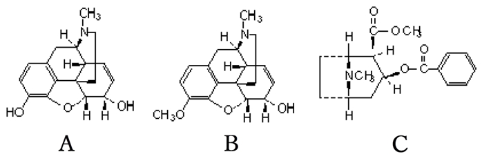 3級アミンが存在…亜硝酸と反応してnitrosamine… 82回薬剤師国家試験問8c