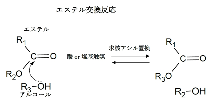 エステルとアルコールの反応 エステル交換反応の反応機構 91回問8a