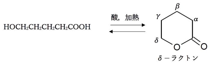 ラクトンとは 環状エステル 合成法 ラクタムについても 91回問8d