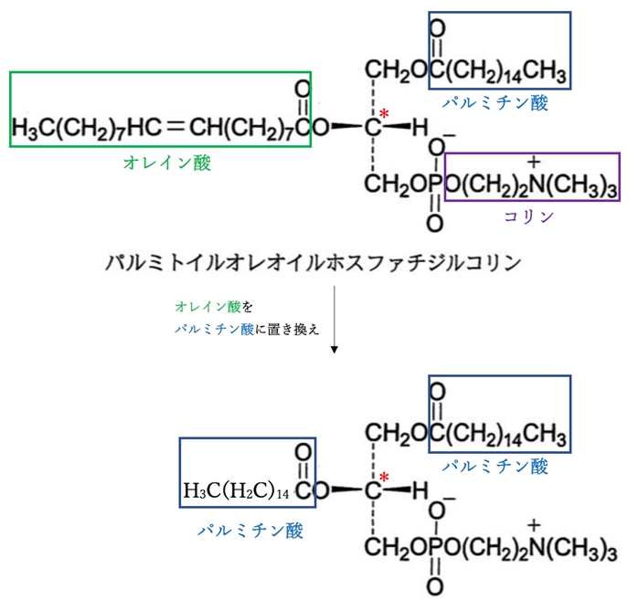 オレイン酸からパルミチン酸に置き換えると 95回薬剤師国家試験問14d