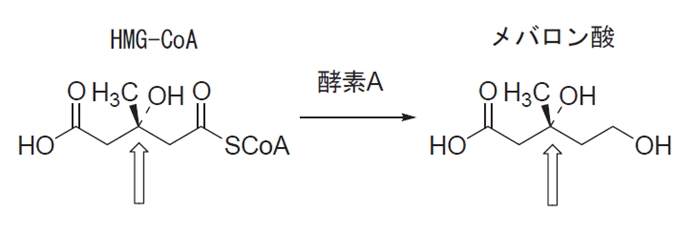 HMG-CoA及びメバロン酸の不斉炭素 97回薬剤師国家試験問209の2