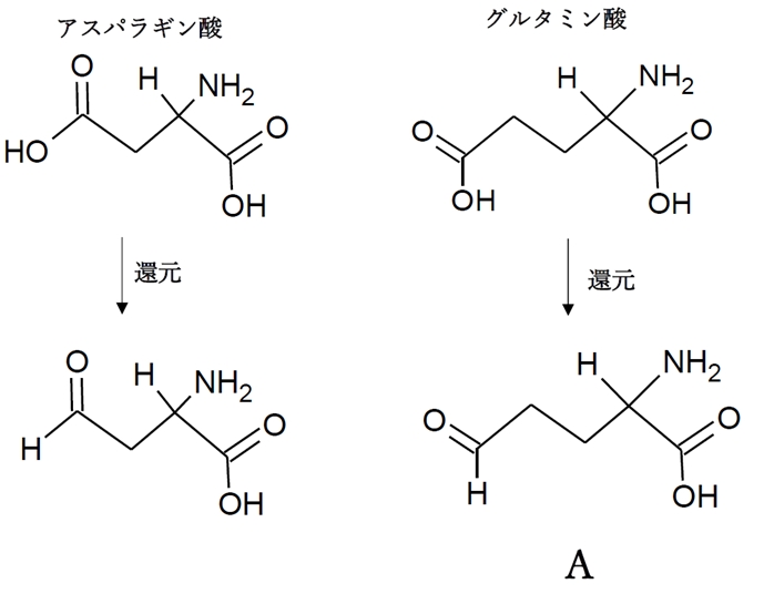 アミノ酸 C の生合成過程の一部を示した図 第99回