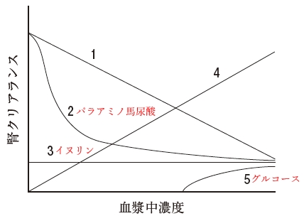 96回薬剤師国家試験問155 腎排泄に関する記述のうち、正しいものの組合せはどれか