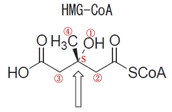 HMG-CoA及びメバロン酸の不斉炭素 97回薬剤師国家試験問209の2