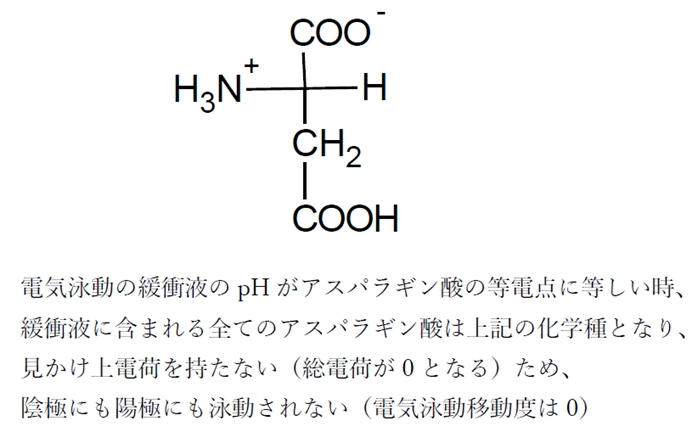 アミノ酸の等電点と等しいpHの水溶液中での電気泳動の移動度 82回薬剤師国家試験問13d