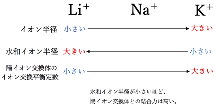 イオン交換平衡定数と水和イオン半径の関係　物理系薬学
