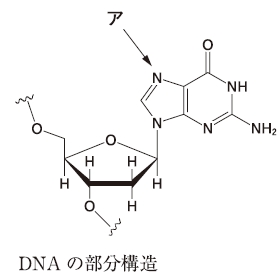 111回薬剤師国家試験問105の解説 シスプラチンに関する記述として、正しいのはどれか