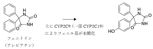 91回薬剤師国家試験問156 薬物代謝に関する記述のうち、正しいものの組合せはどれか