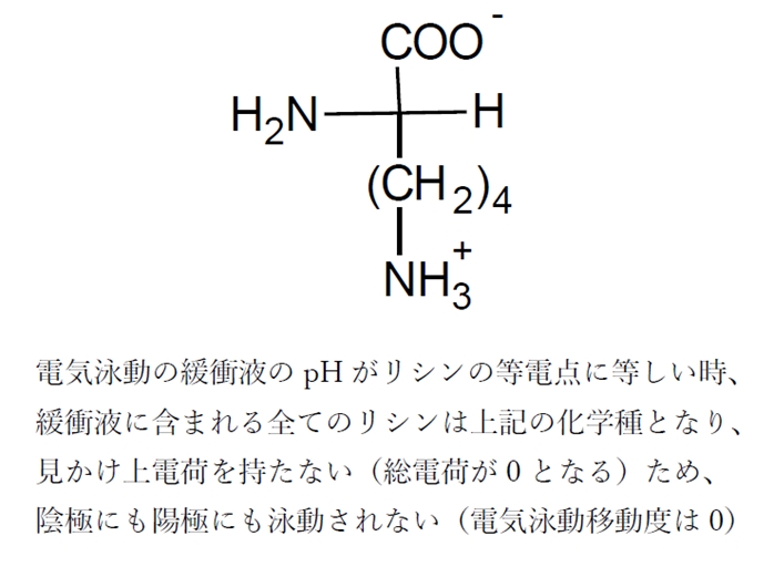 アミノ酸の等電点と等しいpHの水溶液中での電気泳動の移動度 82回薬剤師国家試験問13d