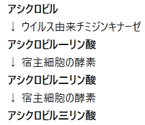 111回薬剤師国家試験問39の解説 感染細胞内でリン酸化されて活性体となる抗ウイルス薬