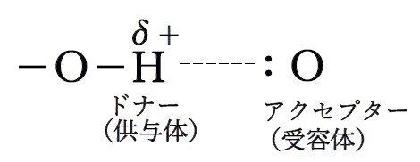 水素結合のドナー（プロトン供与体）とアクセプター（プロトン受容体） 薬学化学