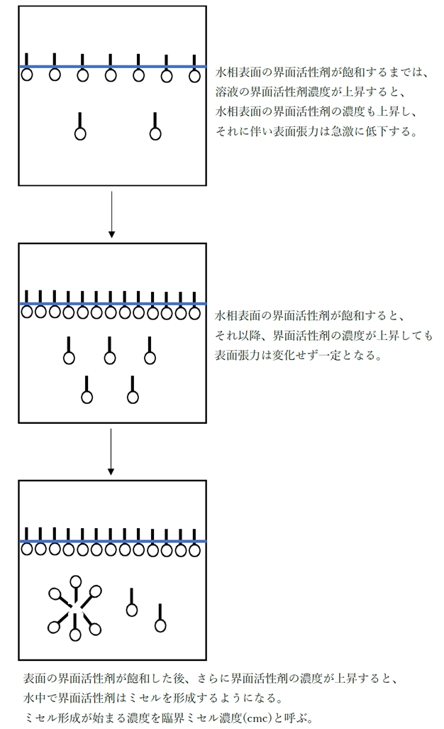 界面活性剤の性質に関する記述 97回薬剤師国家試験問175