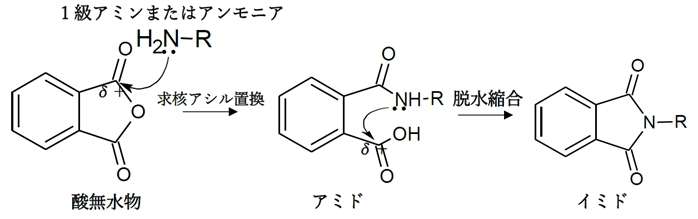 アミン 反応と平衡 薬学化学 98回薬剤師国家試験問105
